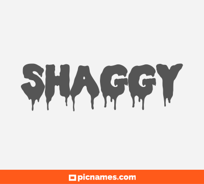 Shaggy