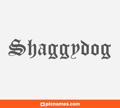 Shaggydog