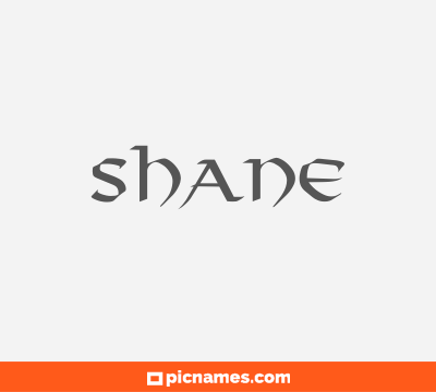 Shane