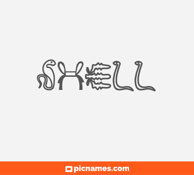 Shell