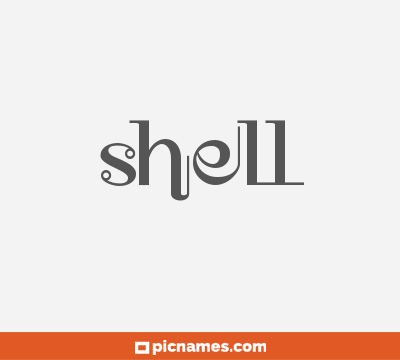 Shell