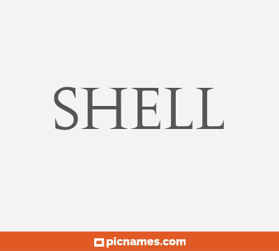 Shell