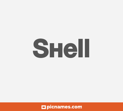 Shell