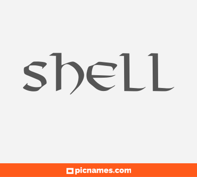 Shell