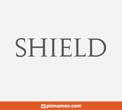 Shield