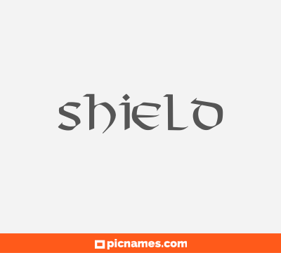 Shield