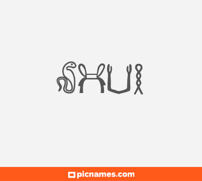 Shui