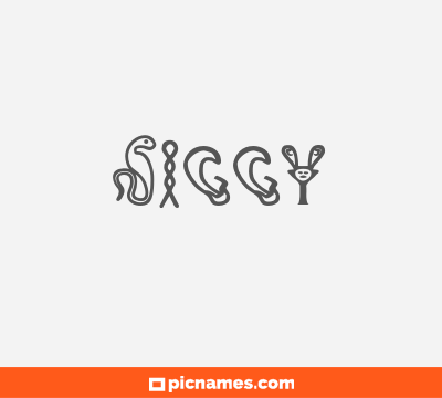 Siggy