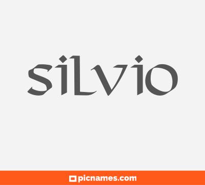 Silvio