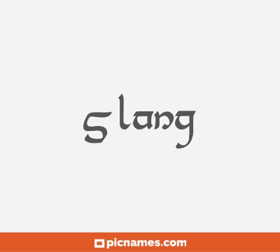 Slang