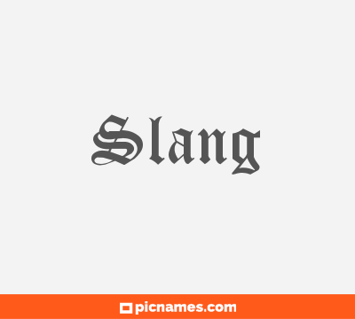 Slang