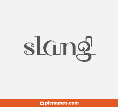 Slang