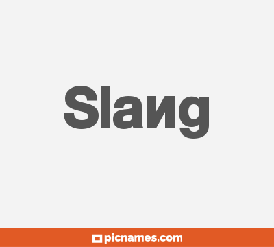Slang