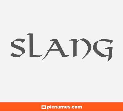 Slang