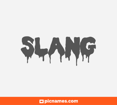 Slang