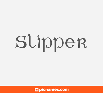 Slipper