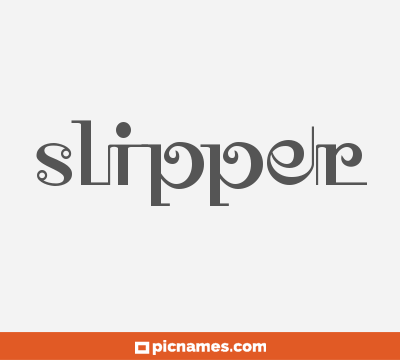 Slipper