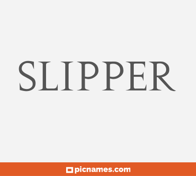 Slipper