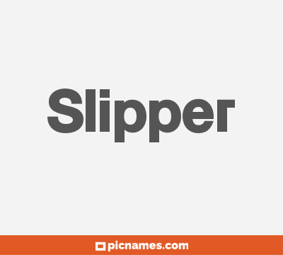 Slipper