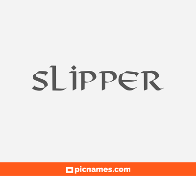 Slipper