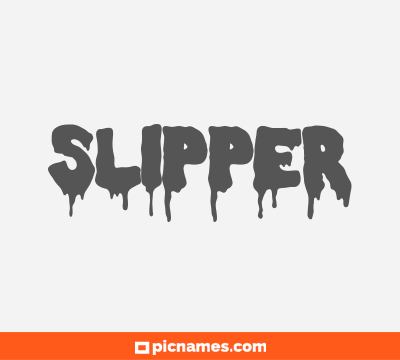 Slipper