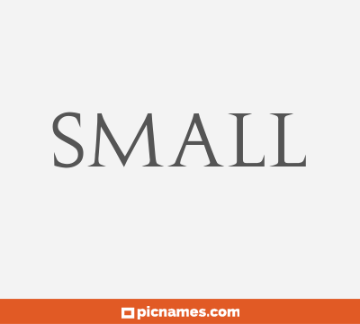 Small