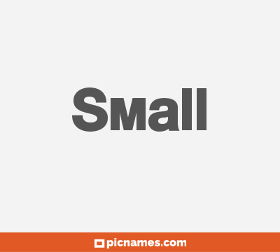 Small