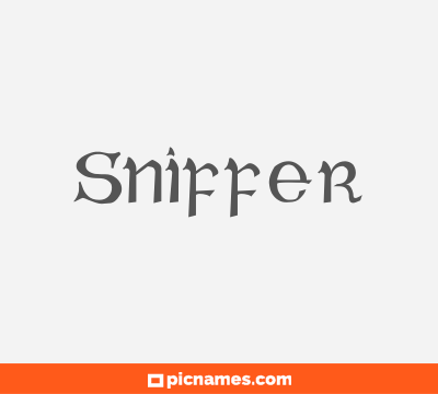 Sniffer