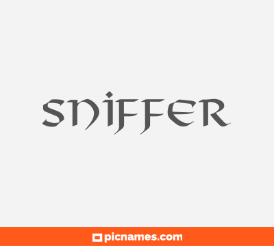 Sniffer