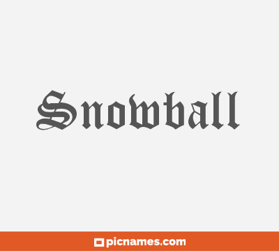 Snowball