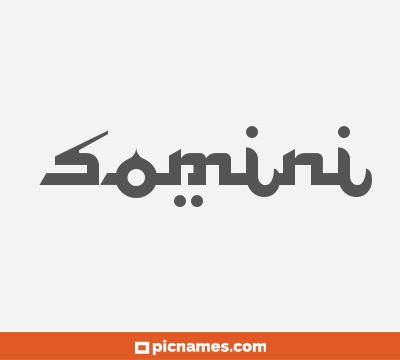 Somini