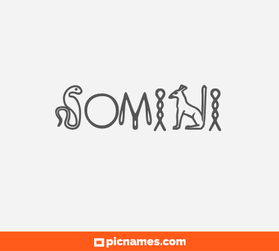 Somini