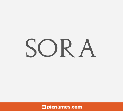 Sora