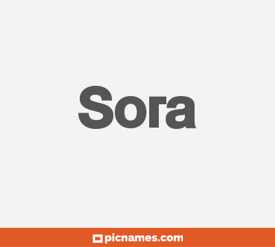 Sora