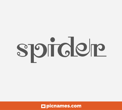 Spider