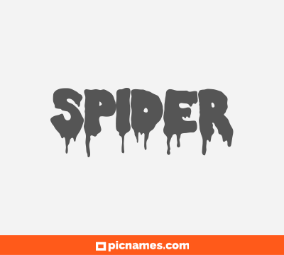 Spider