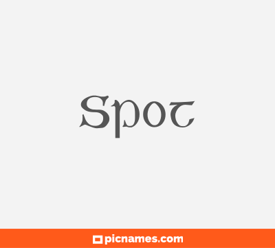 Spot