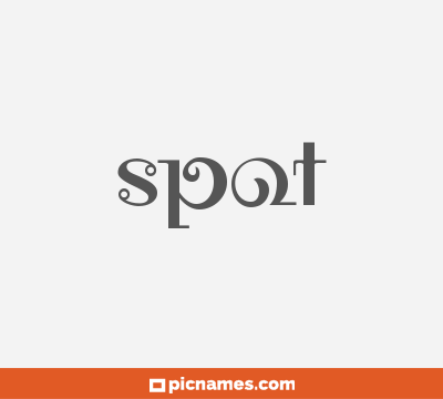 Spot