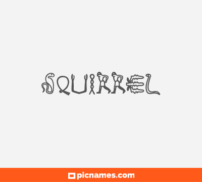 Squirrel