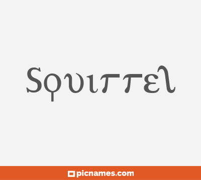 Squirrel