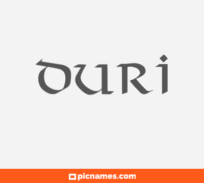 Suri