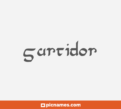 Surtidor