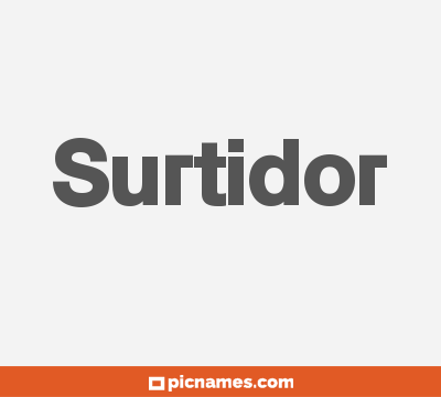 Surtidor