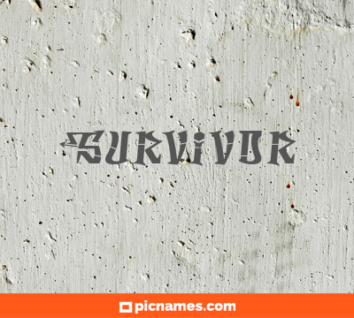 Survivor