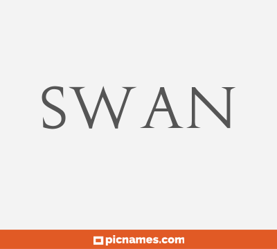 Swan