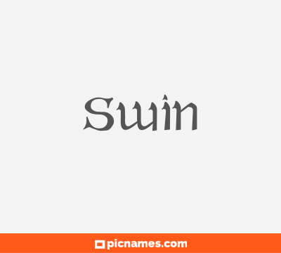 Swin