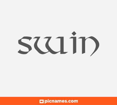 Swin