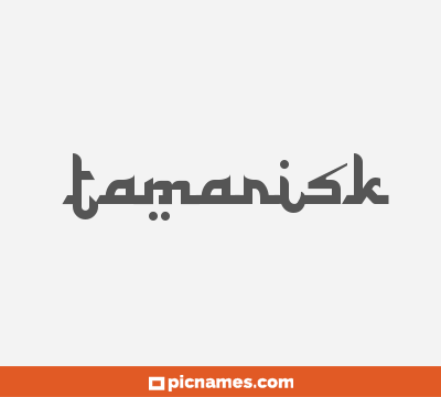 Tamarisk