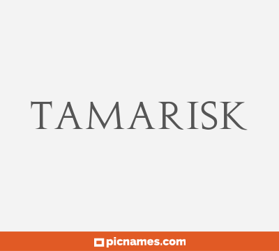 Tamarisk