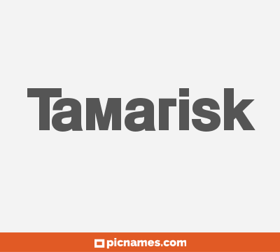 Tamarisk